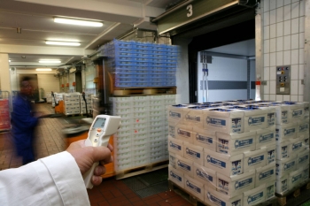 Termómetro infrarrojo Testo T831